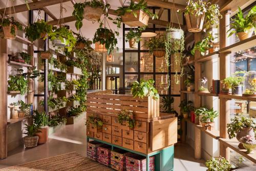 treehouse hotel silicon valley