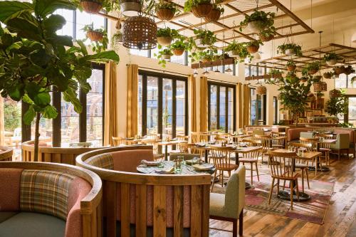 treehouse hotel silicon valley