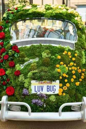 sunnyvale