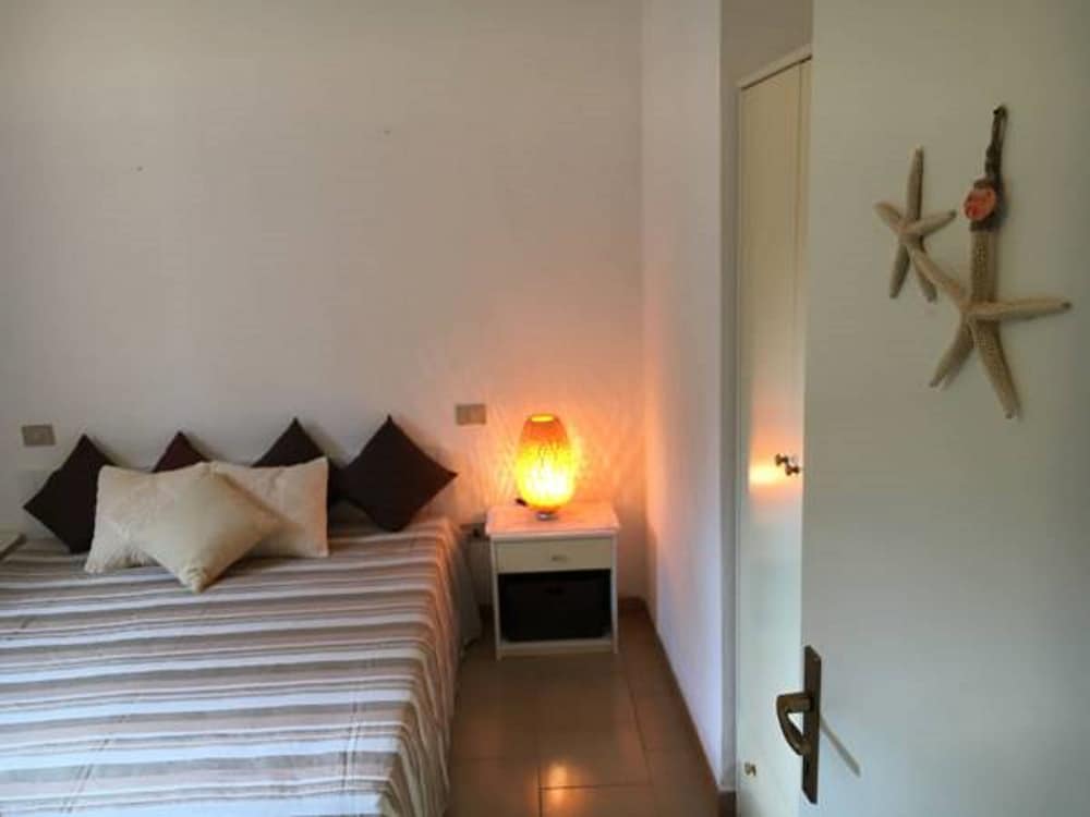 il nido dei gabbiani