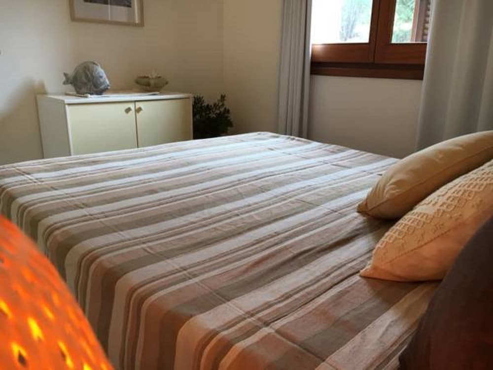 il nido dei gabbiani