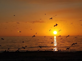 escape coastal resort on casey key