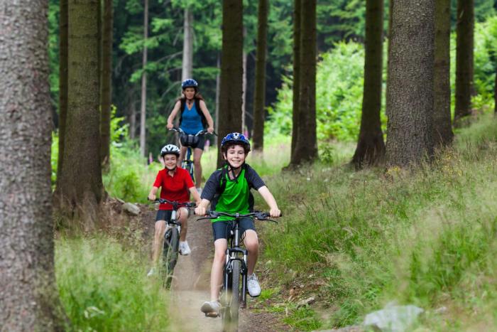 macdonald aviemore woodland lodges