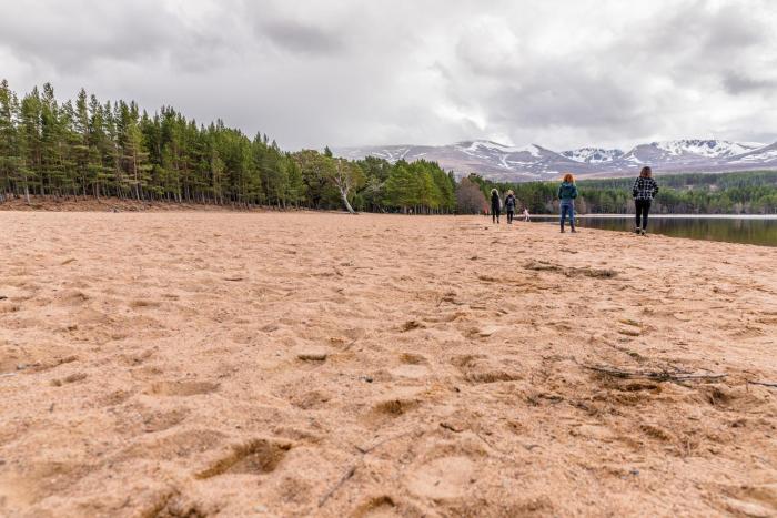 macdonald aviemore woodland lodges