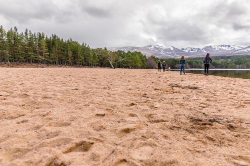 macdonald aviemore woodland lodges