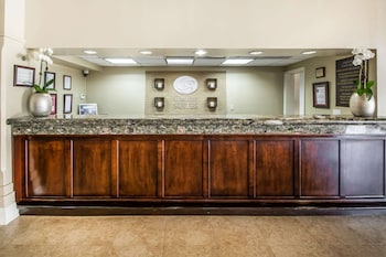comfort suites paradise island