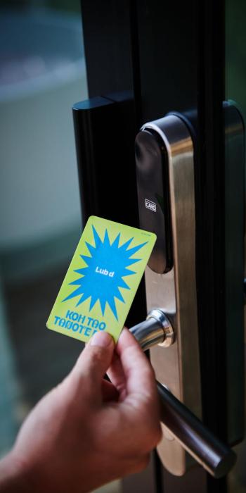 lub d koh tao tanote bay