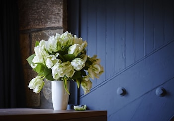 old town chambers autograph collection