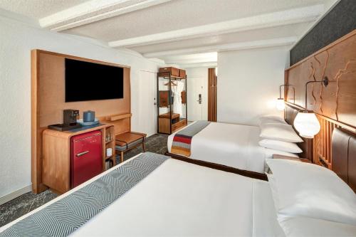 the wildbirch hotel in jdv by hyatt