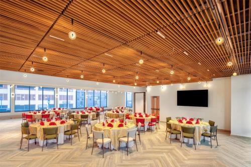 the wildbirch hotel in jdv by hyatt