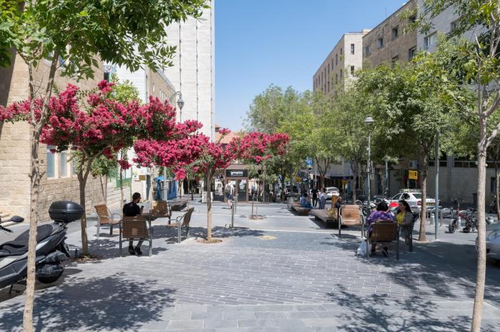 aju hillel 14