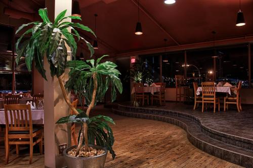 holiday inn hotel and suites osoyoos by ihg