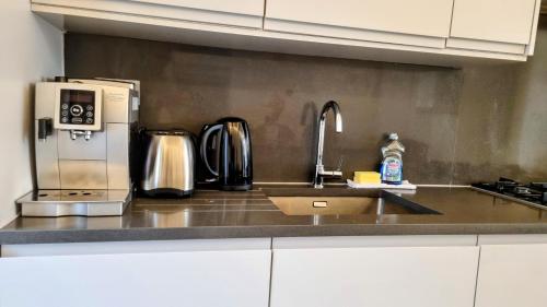 surbiton luxury garden house 19