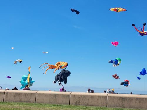 morecambe