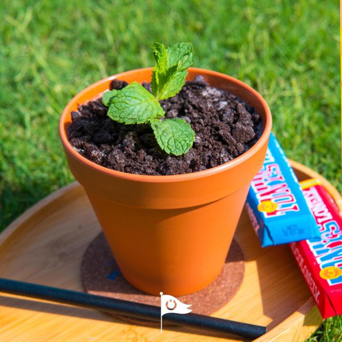 bab al nojoum hudayriyat camp