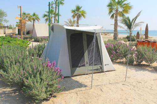 bab al nojoum hudayriyat camp