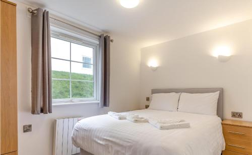 lovely ilfracombe apartment 2 bedrooms num 3