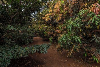 cosmicstays greystone villa mountain view and dam