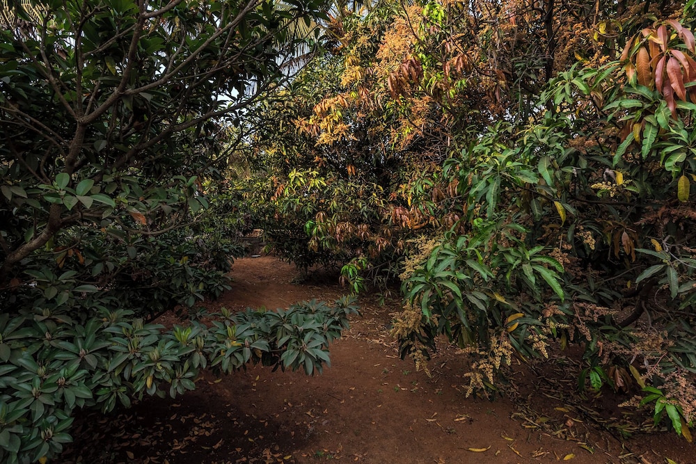 cosmicstays greystone villa mountain view and dam