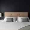 the regent boutique hotel and spa pre opening