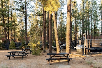 n p boutique lodge