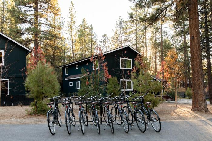 n p boutique lodge