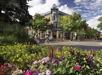 fort collins