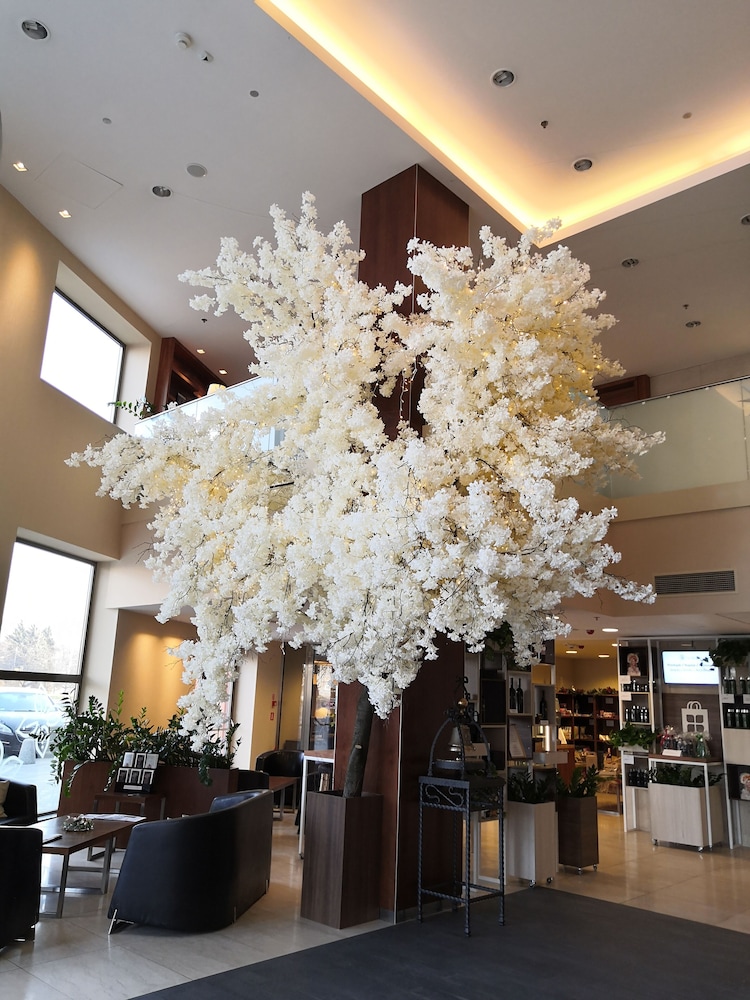 hilton garden inn rzeszow
