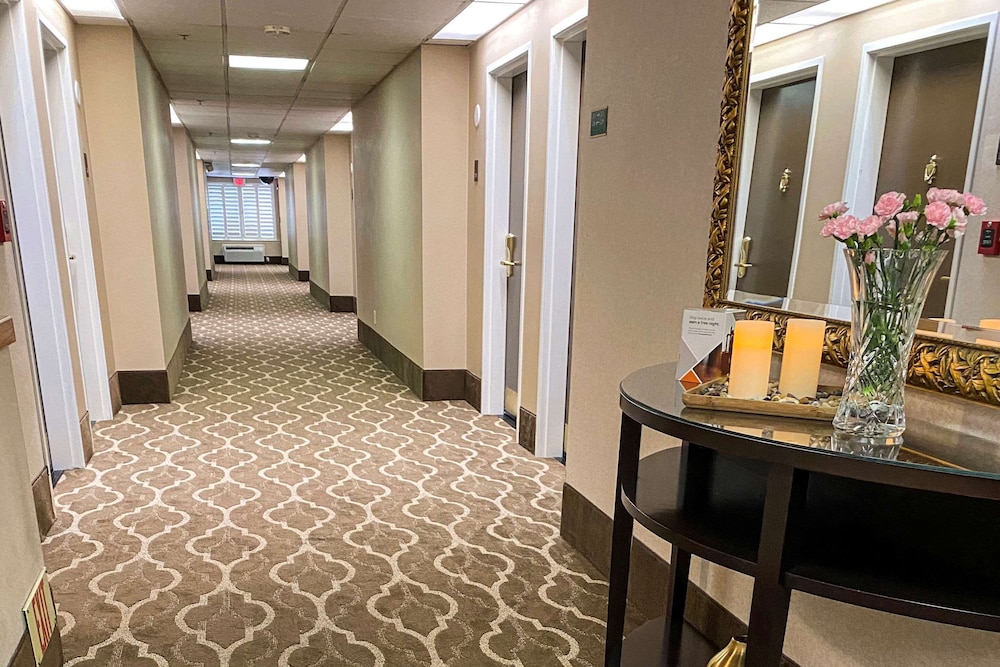 comfort suites
