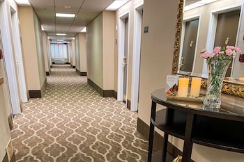 comfort suites