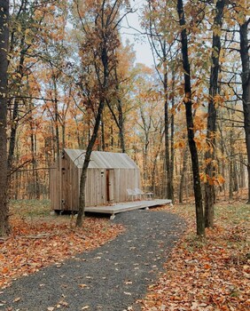 coxsackie