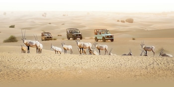 Al Marmoom Oasis Luxury Experiential Desert Domes,,5 star