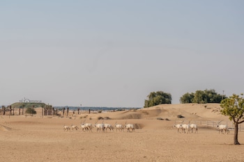 al marmoom oasis luxury experiential desert domes