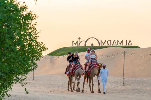 al marmoom oasis luxury experiential desert domes