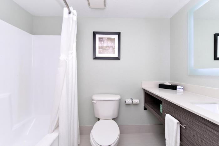 holiday inn express and suites naples north bonita springs