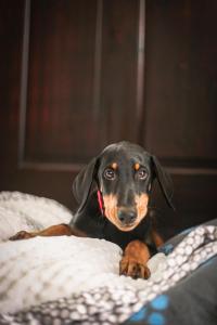 hotel villa los candiles