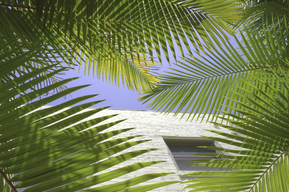 riviera beach house