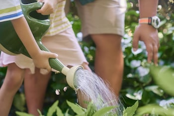 The Ritz-Carlton Sanya, Yalong Bay,Sanya>>Hainan,5 star