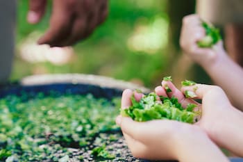 The Ritz-Carlton Sanya, Yalong Bay,Sanya>>Hainan,5 star