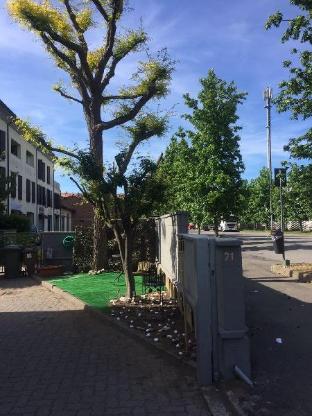 nuovo hotel vigevano