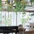 villa nicolli romantic resort adults only