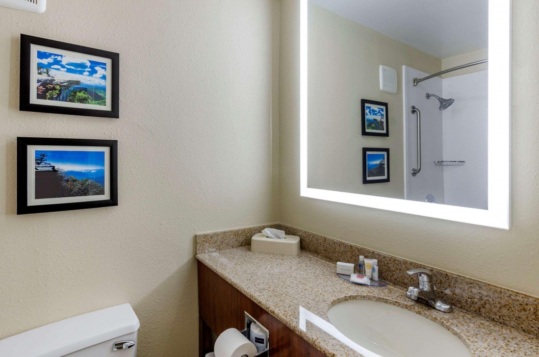 comfort inn roanoke civic center