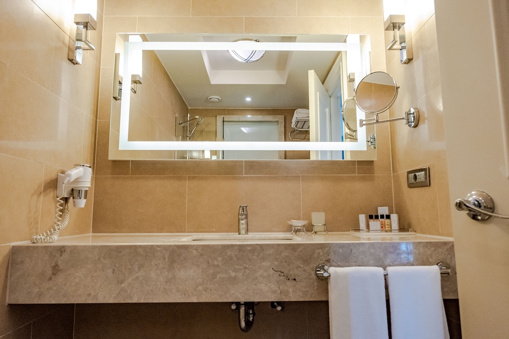 windsor hotel and convention center