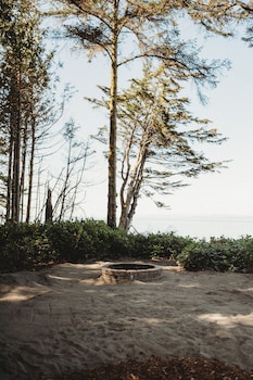 woodland bluff