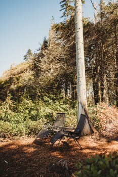 woodland bluff