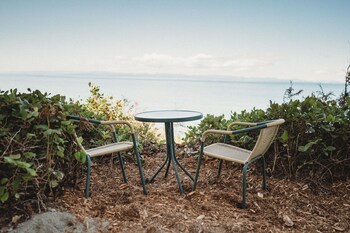 woodland bluff