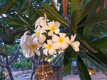 Ozone At Farm,,3 star