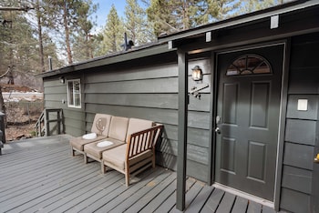 dark pine retreat