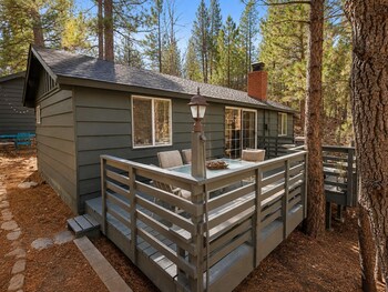 dark pine retreat