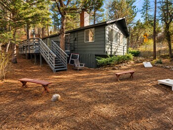 dark pine retreat
